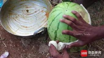 吃瓜网菜网红叫什么名字