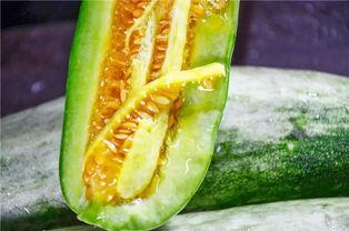 哪些网红有瓜吃,哪些热门网红有瓜吃