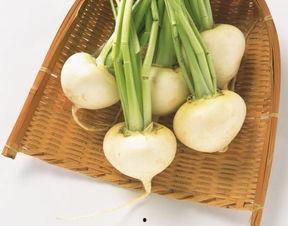 萝卜吃瓜官网,解锁美食新天地，尽享舌尖盛宴