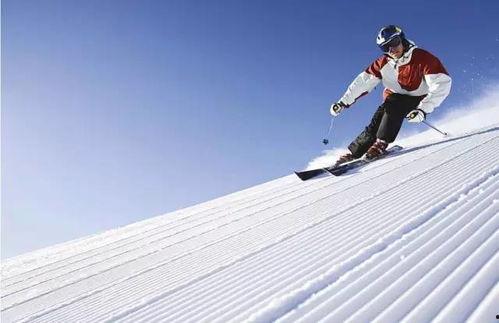 滑雪网红吃瓜视频大全,趣味横生，笑料百出