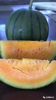 回家路吃瓜网,揭秘娱乐圈幕后故事，带你走进明星真实生活