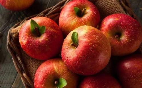 51吃瓜官网全网最新苹果,51吃瓜官网带你领略苹果界的潮流风向标