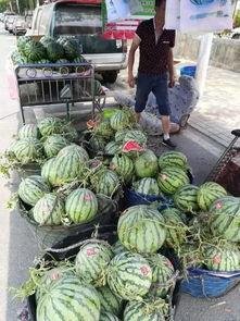 宝坻吃瓜网红事件