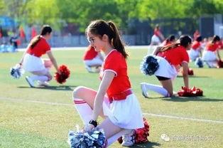 校园政坛-吃瓜网,揭秘吃瓜网上的校园政治大戏